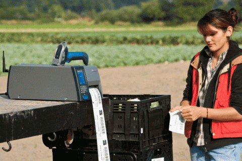 Solutions d'identification de produits dans le domaine de l'agroalimentaire